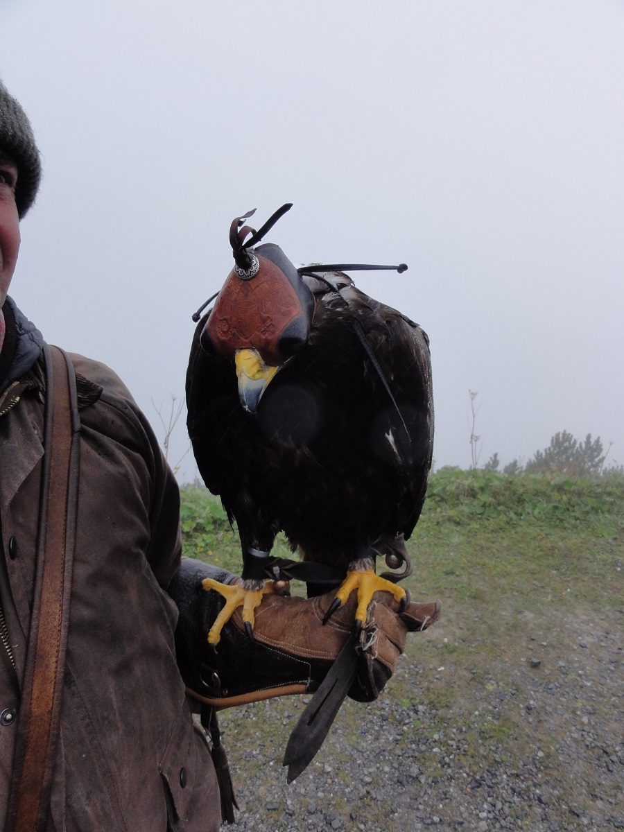 Vereinsreise 2019 Falknerei Galina Malbun