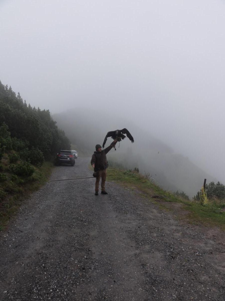 Vereinsreise 2019 Falknerei Galina Malbun