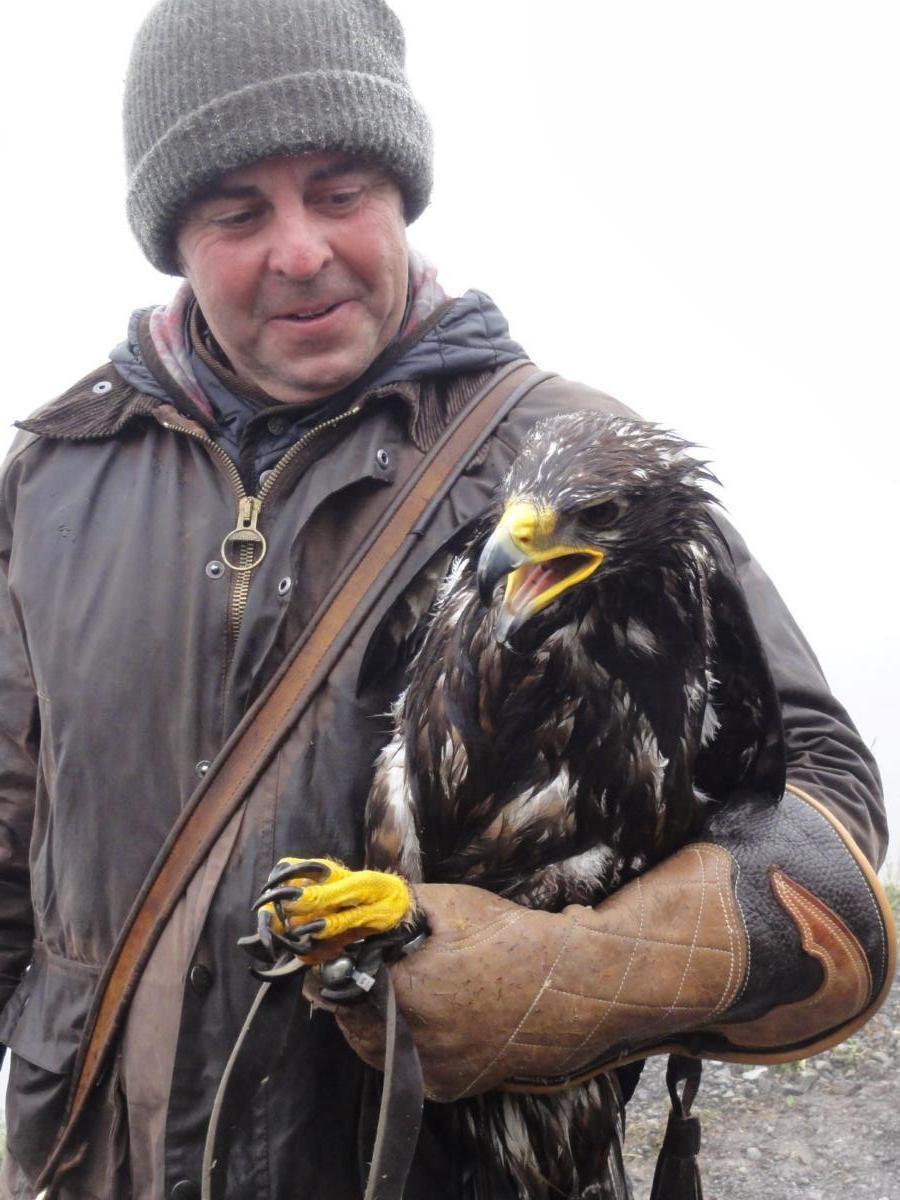 Vereinsreise 2019 Falknerei Galina Malbun