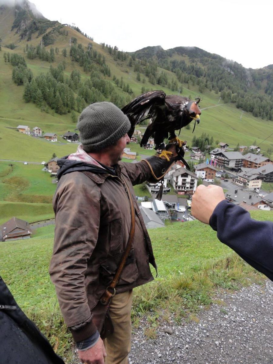 Vereinsreise 2019 Falknerei Galina Malbun