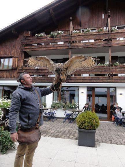 Vereinsreise 2019 Falknerei Galina Malbun