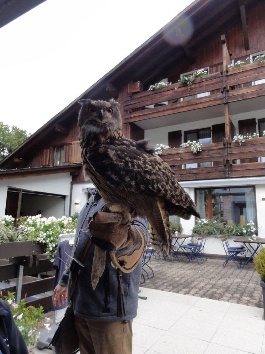 Vereinsreise 2019 Falknerei Galina Malbun