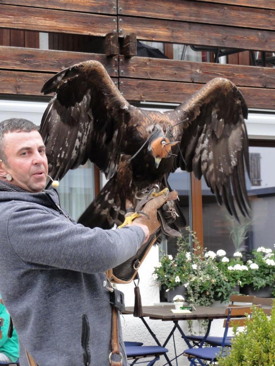 Vereinsreise 2019 Falknerei Galina Malbun