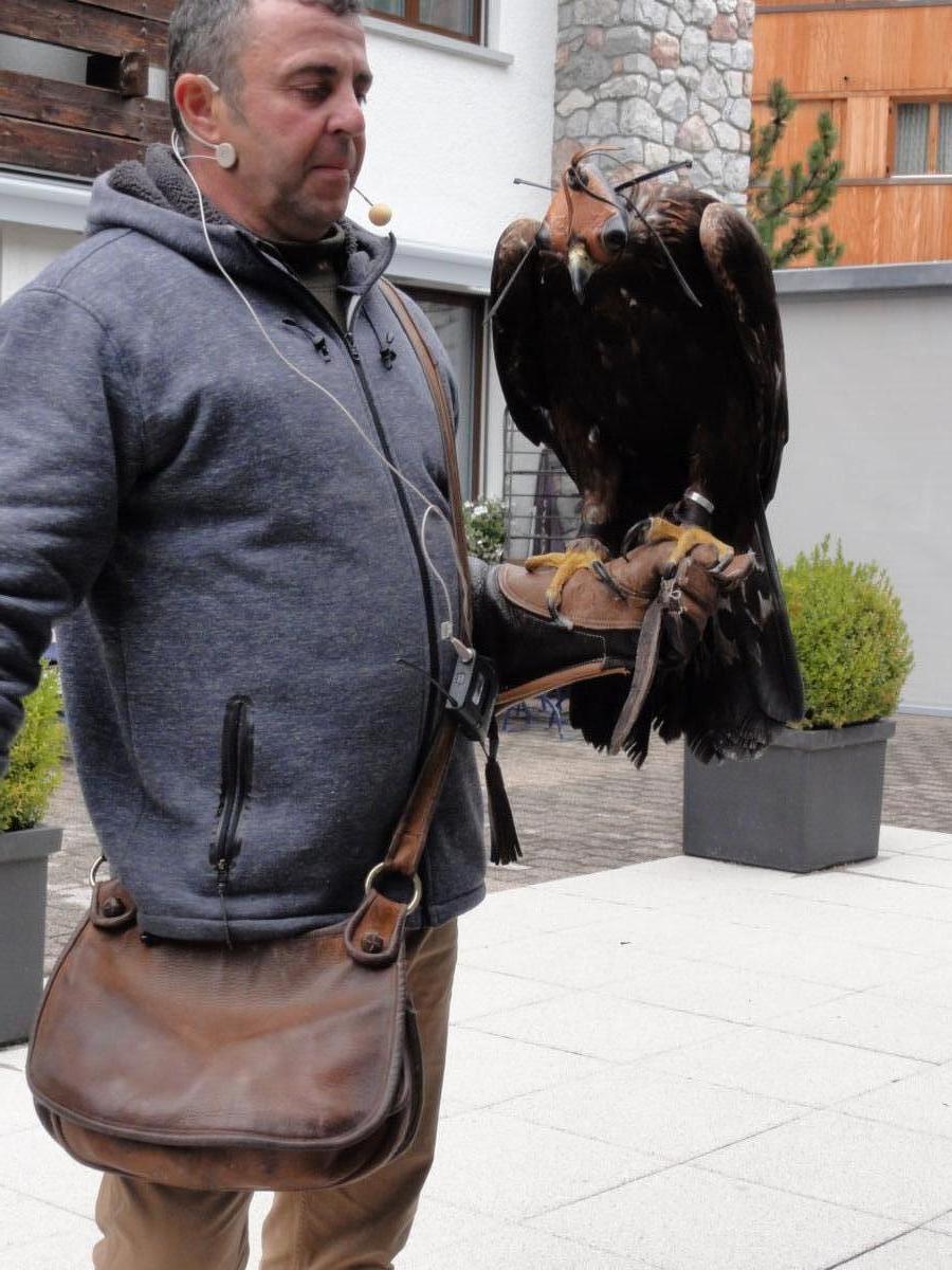 Vereinsreise 2019 Falknerei Galina Malbun